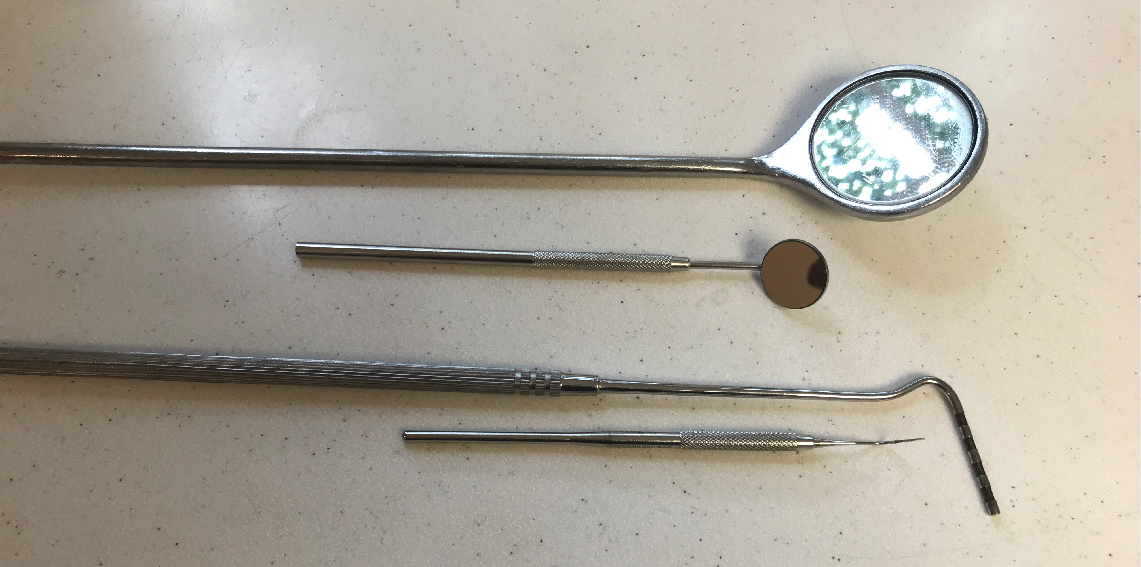 human versus equine dental instruments